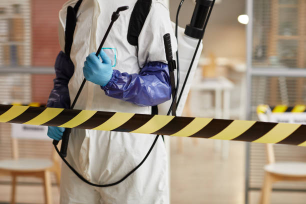 Professional Odor Removal technician working in Junction City, KY