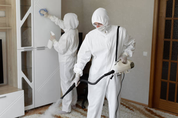 24/7 Emergency Odor Removal experts in Junction City, KY