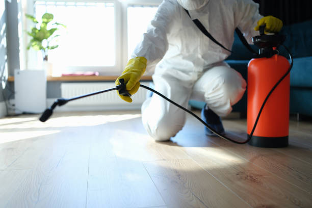Reliable Odor Removal contractor in Junction City, KY by Trauma Clean Pros